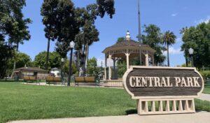 Central Park Banner